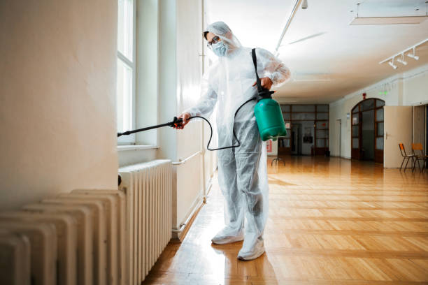 Best Termite Inspection and Treatment  in Oak Park Heights, MN